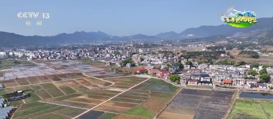 AI模型、“北斗”、物聯(lián)網(wǎng)……智慧農(nóng)業(yè)成為田間地頭新常態(tài)(圖13)